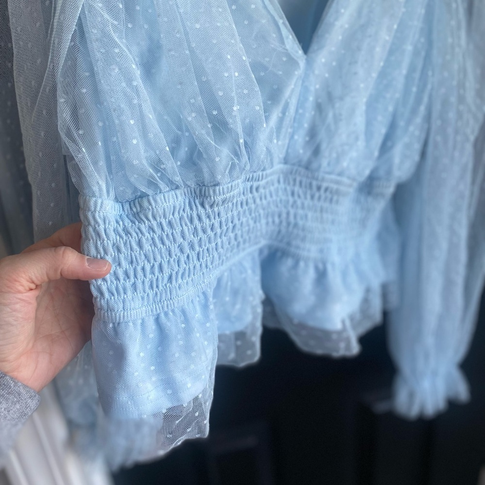 Audrey Parks Francesca’s Soft Blue Tulle Blouse Sheer Long-Sleeve Crop-Size L - Picture 2 of 8